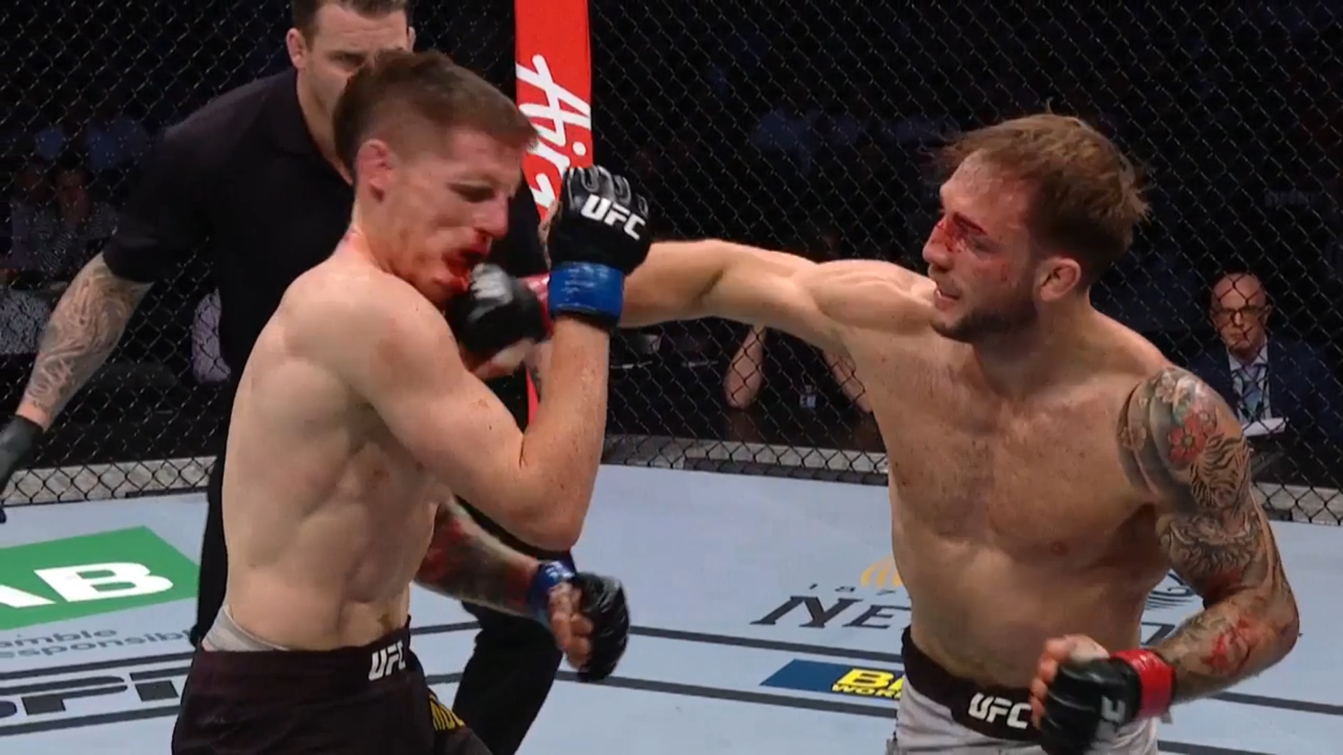 Mullarkey vs. Riddell