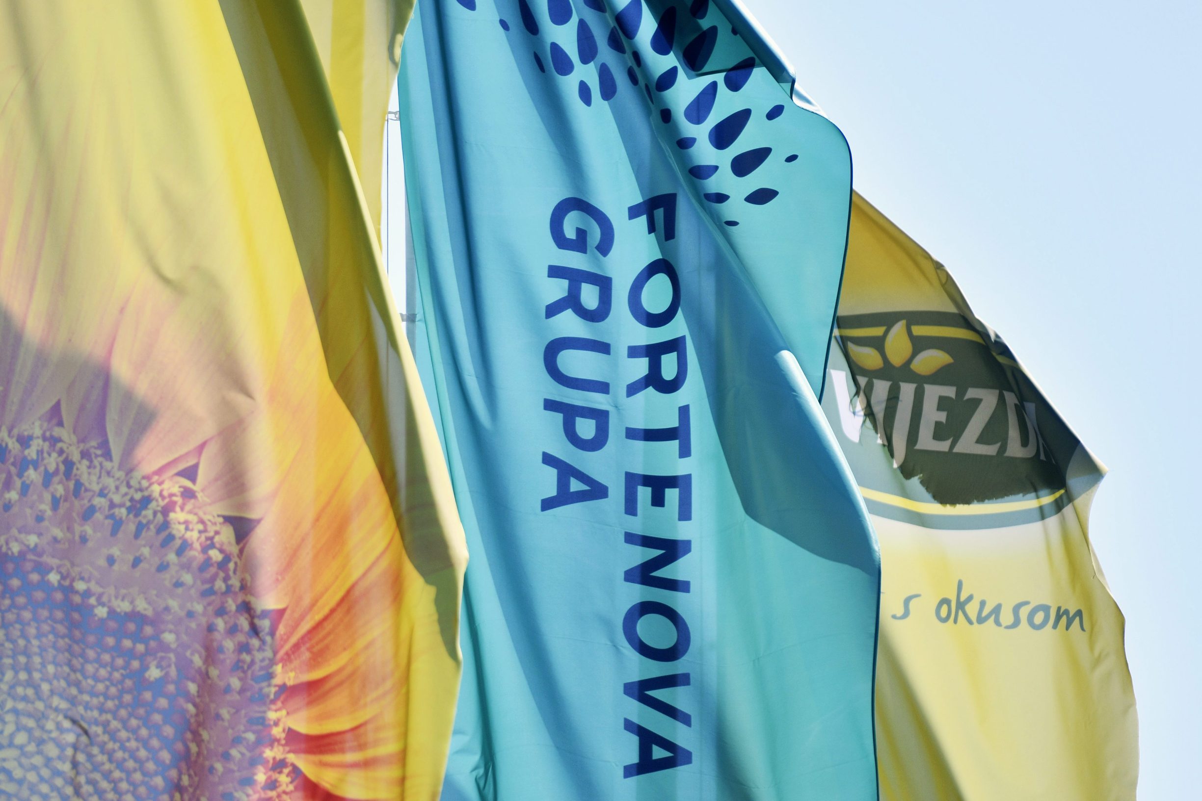 fortenova_grupa10-010419