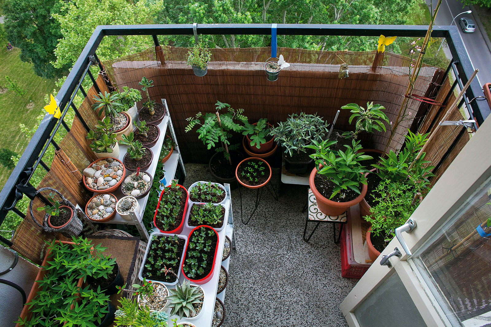 balkon-pavlovic1-120515