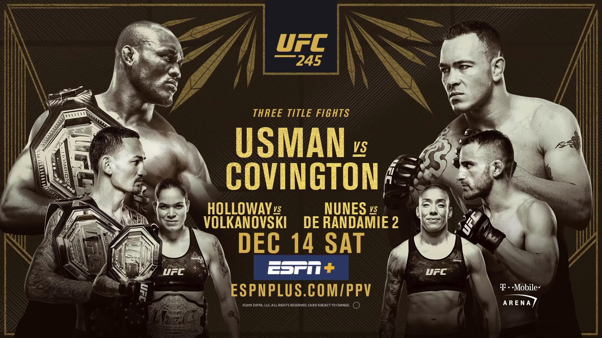 UFC 245 plakat