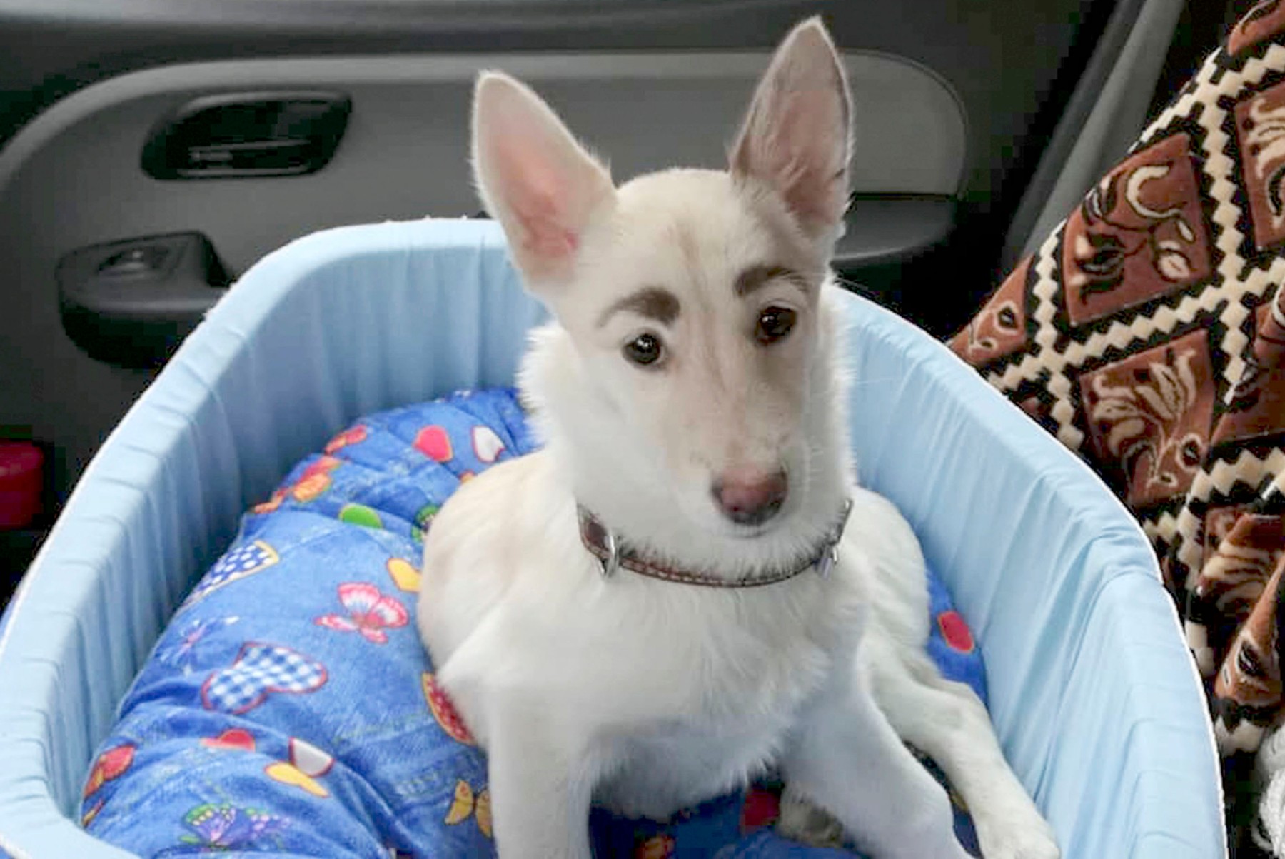 profimedia-0483454331