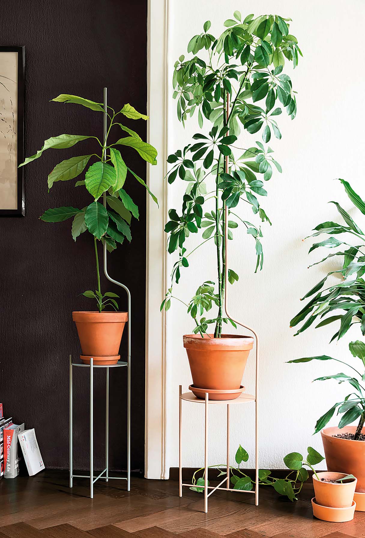 SUPERLIFE
Liana stalak za bilje
www.superlife.ch