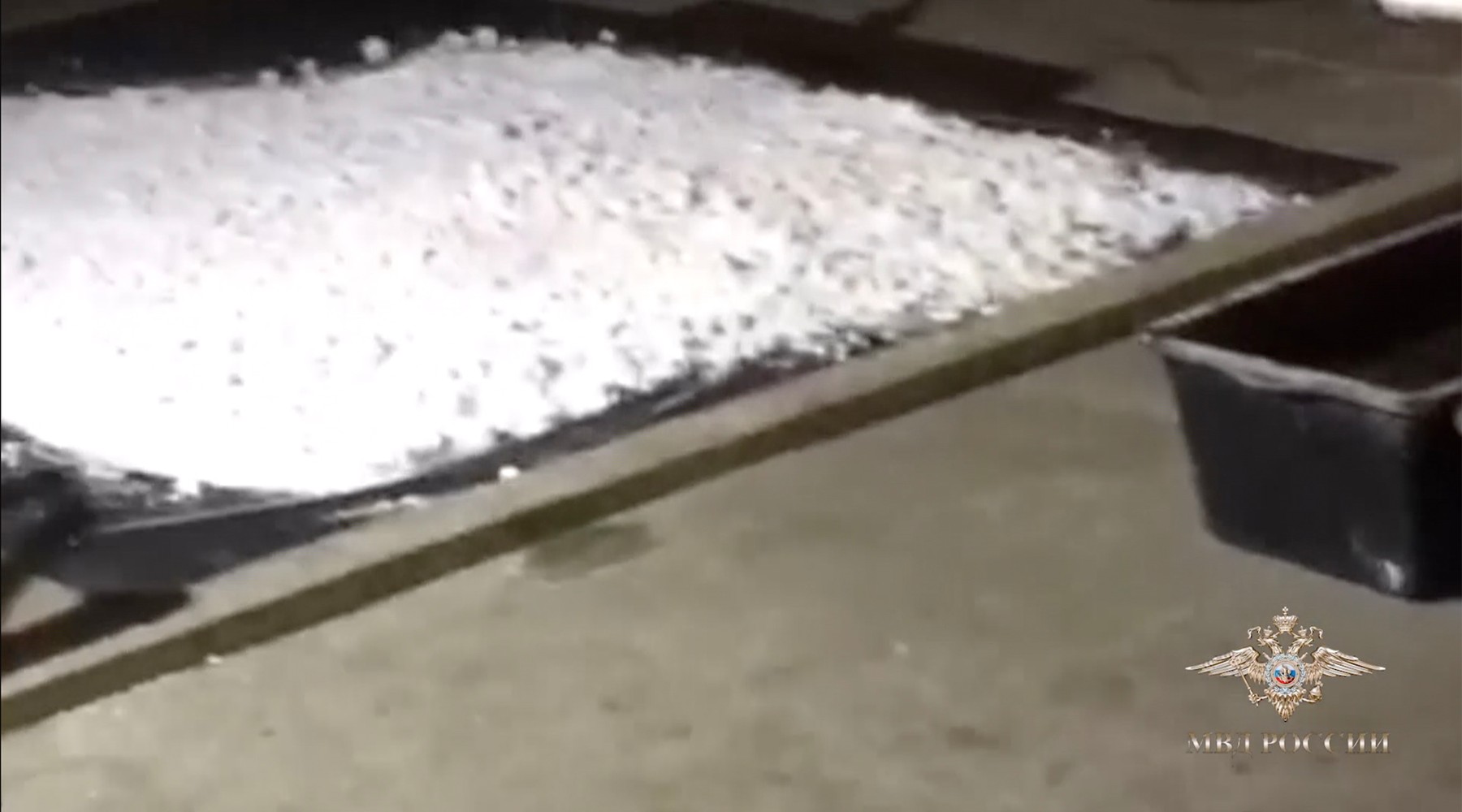 profimedia-0484275198