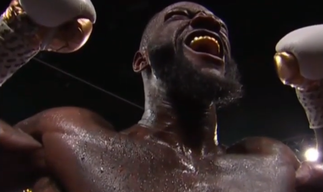 Wilder 2