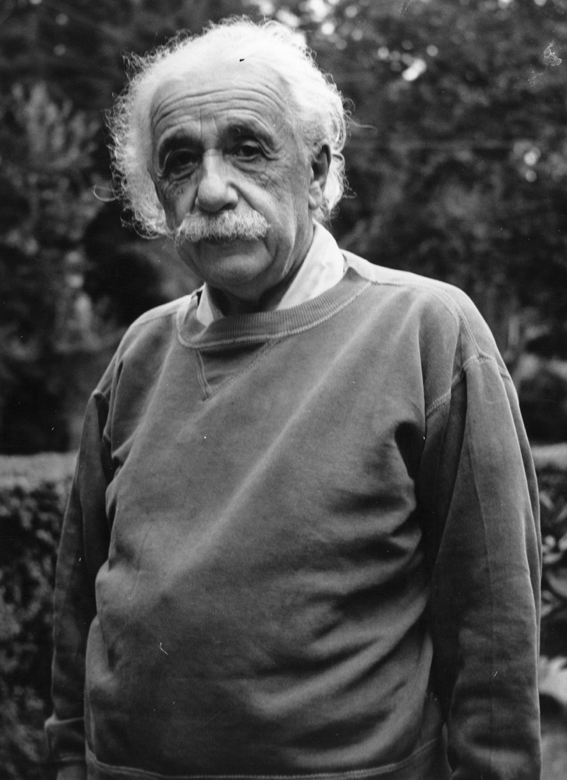 Albert Einstein 