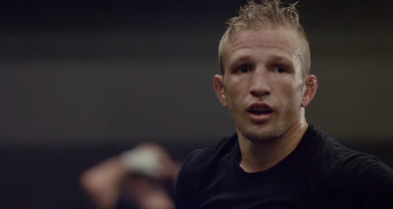 Dillashaw