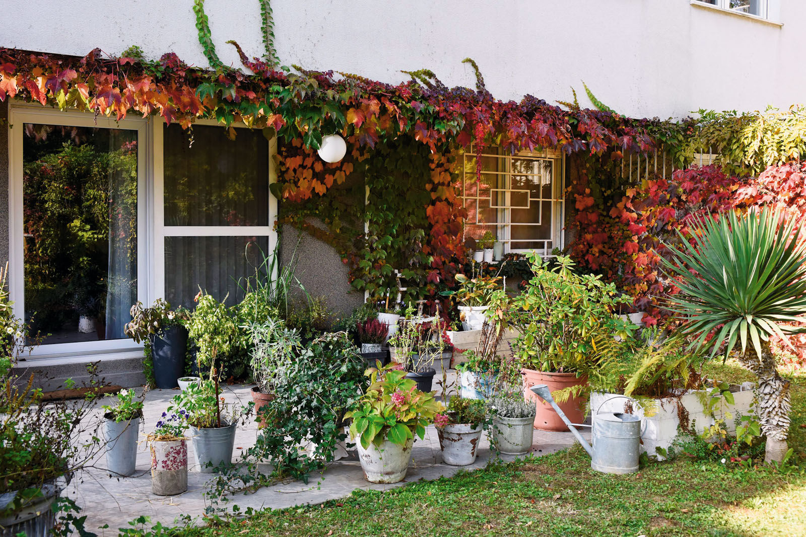 loncanice-zimovanje-241018