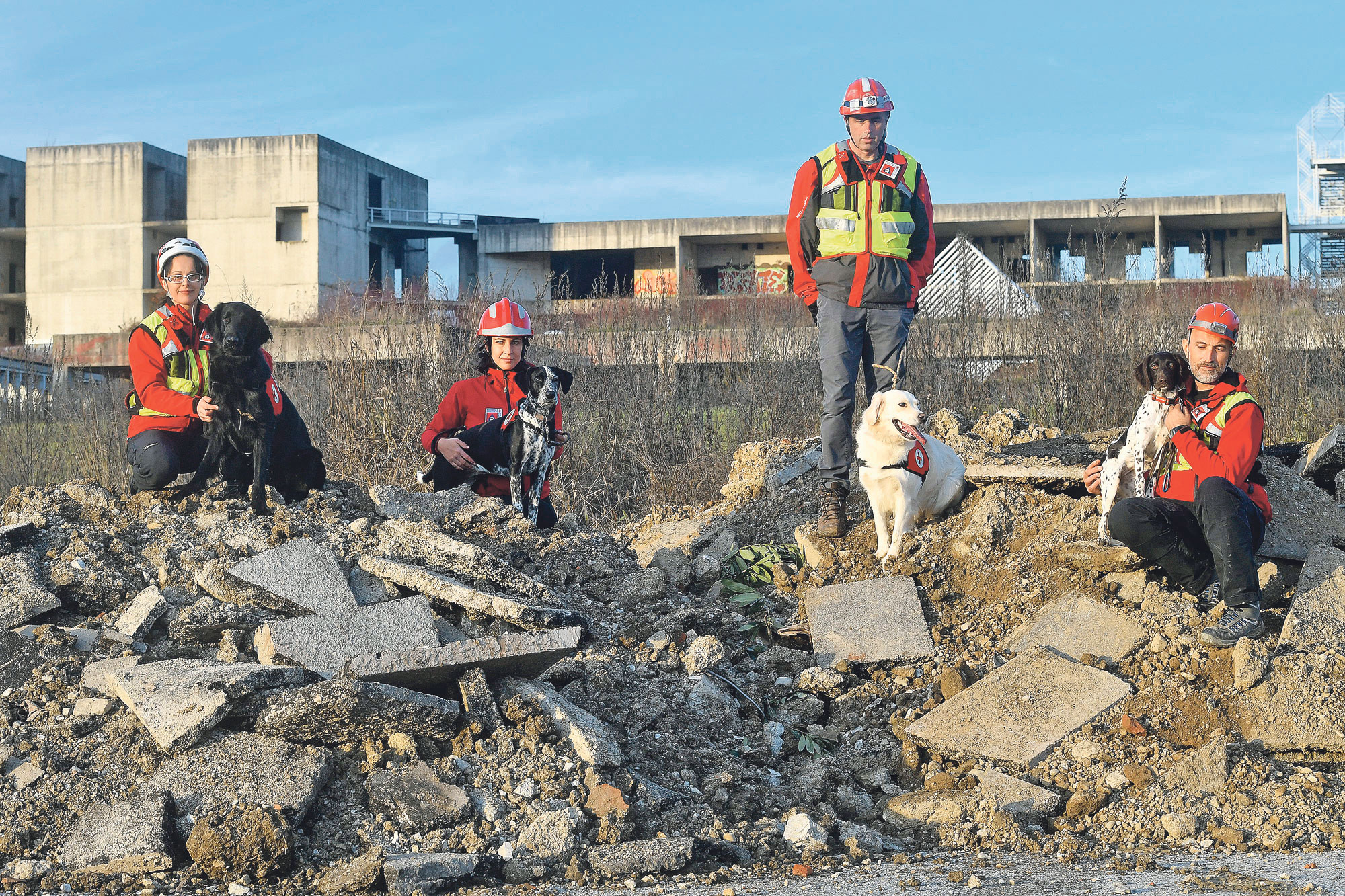 psi-potres42-291119_1