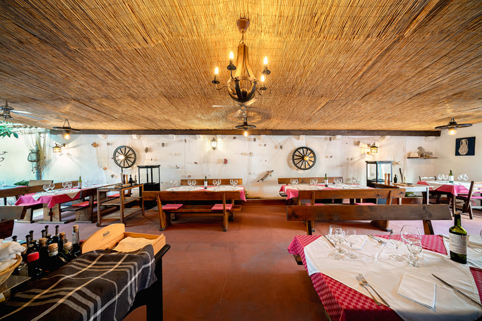 73256547_3218730294864452_5619943893404483584_n