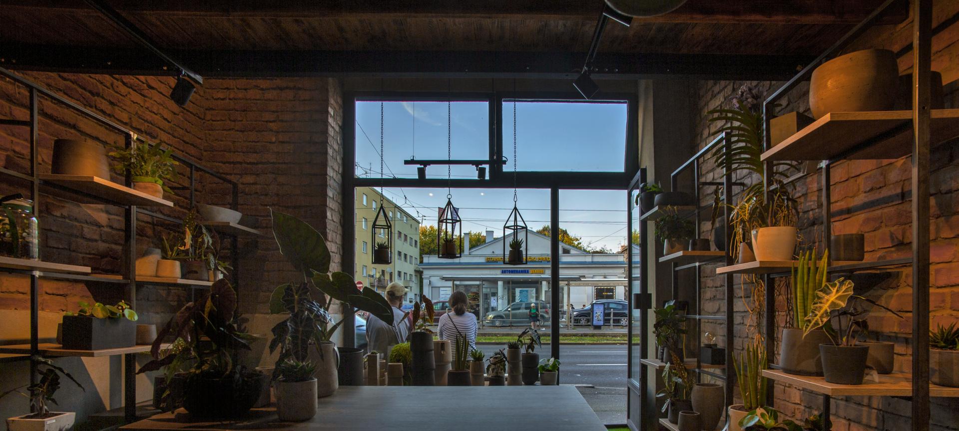 Hortiart_8_Vanja_Solin