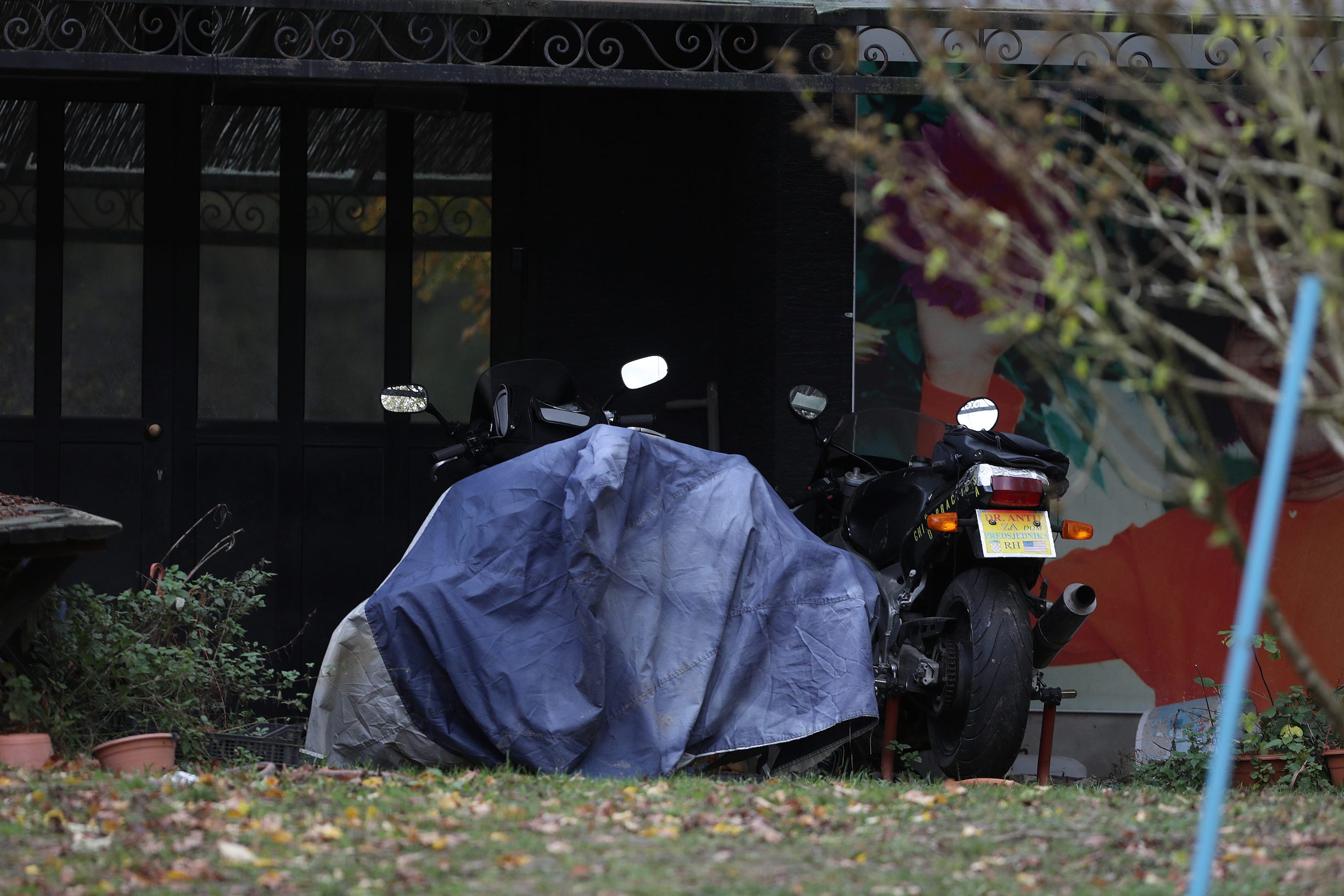 pavlovic_dragonozec11-051119