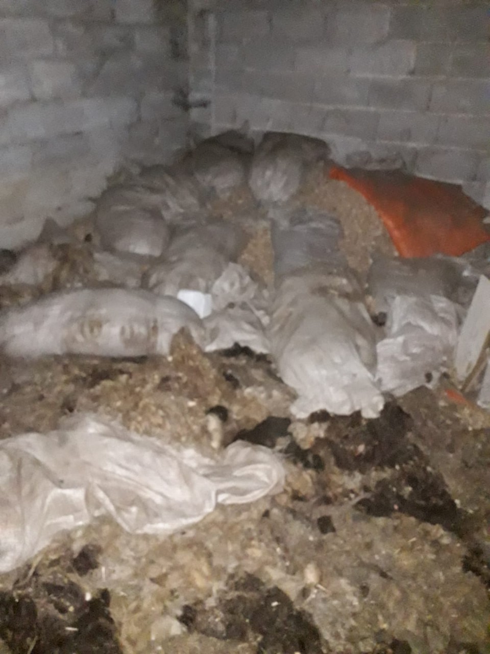 IMG-0ab0a3ff75104a2a2ab326aa1ed6c06c-V