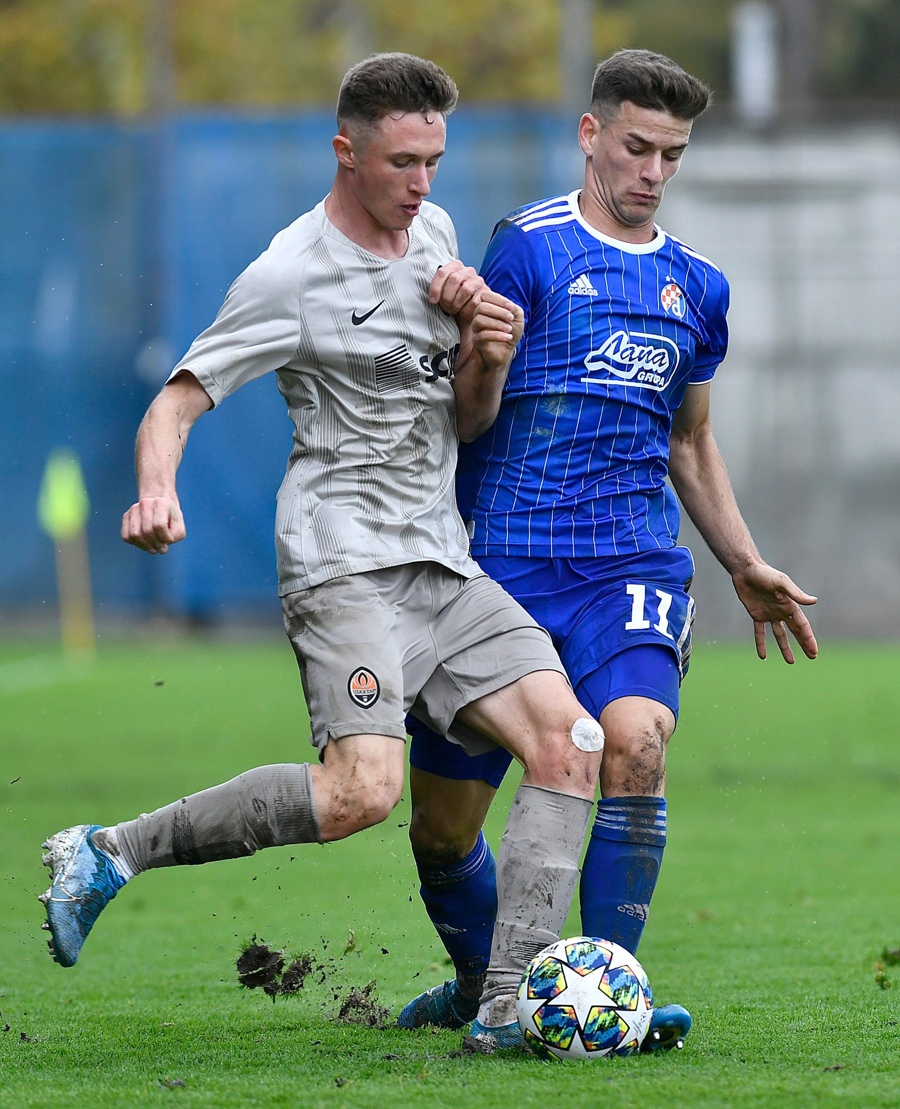u19_dinamo_sahtar11-061119
