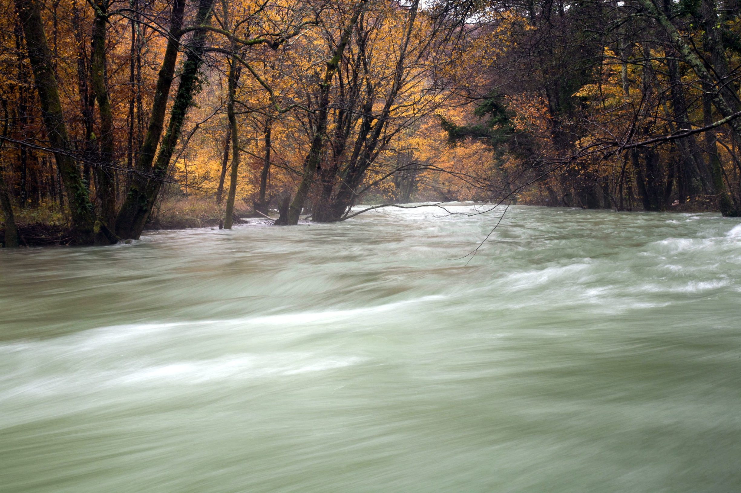 nabujala_rjecina3-091114