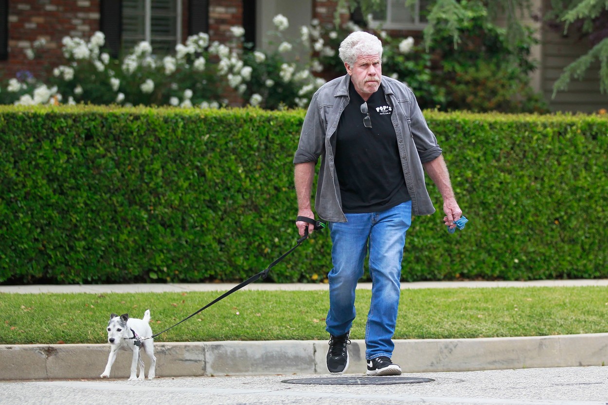 profimedia-0438710966