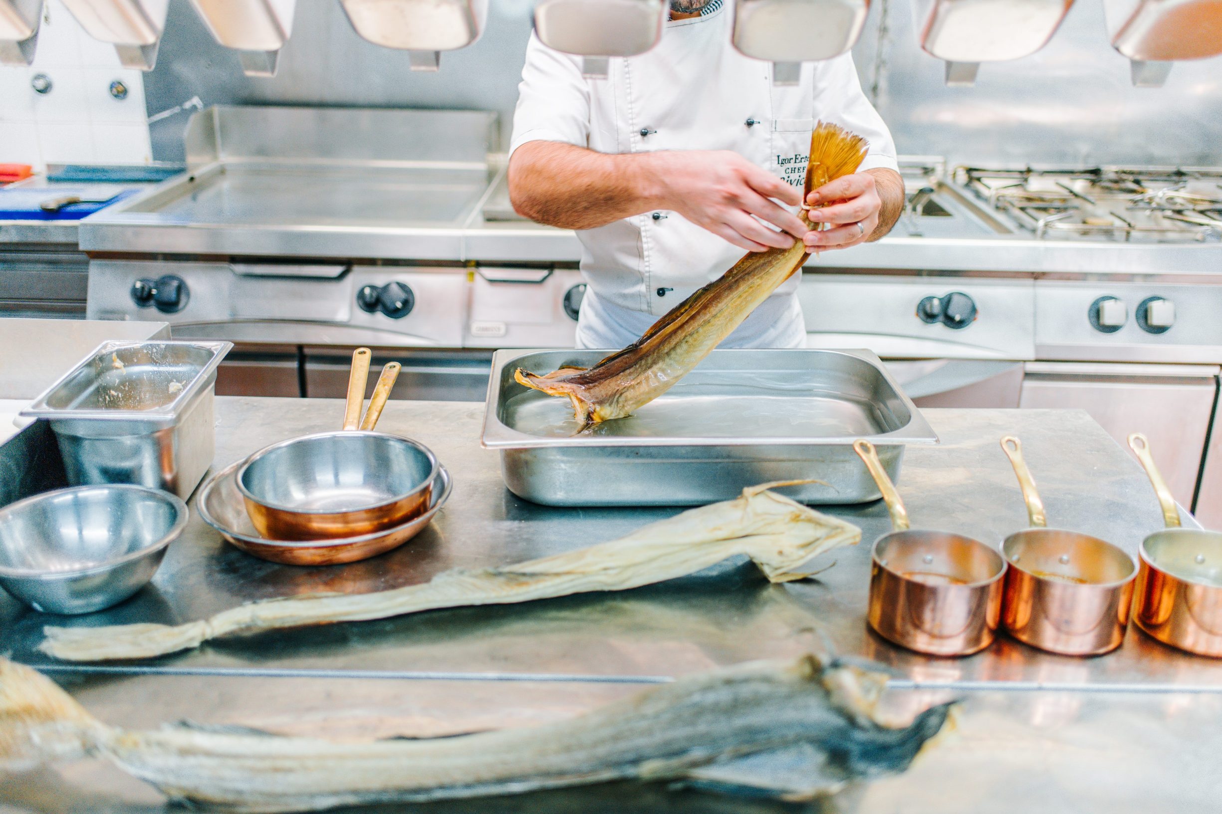 bakalar_rivica06-261119