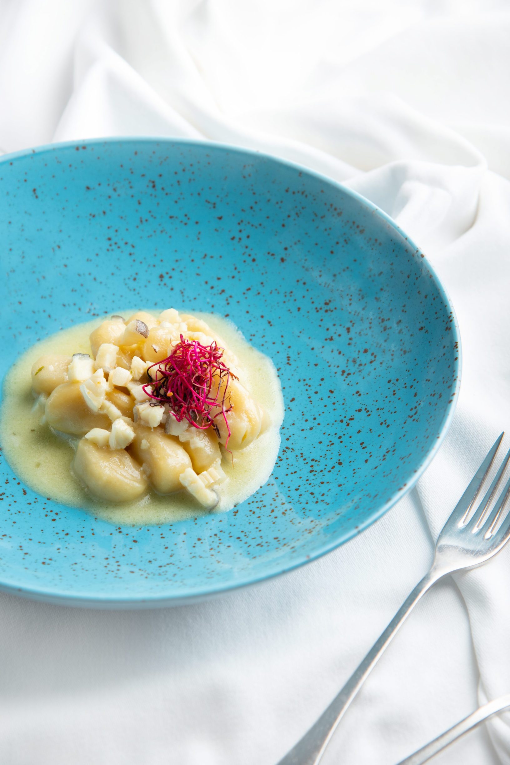 bakalar_rivica15-261119