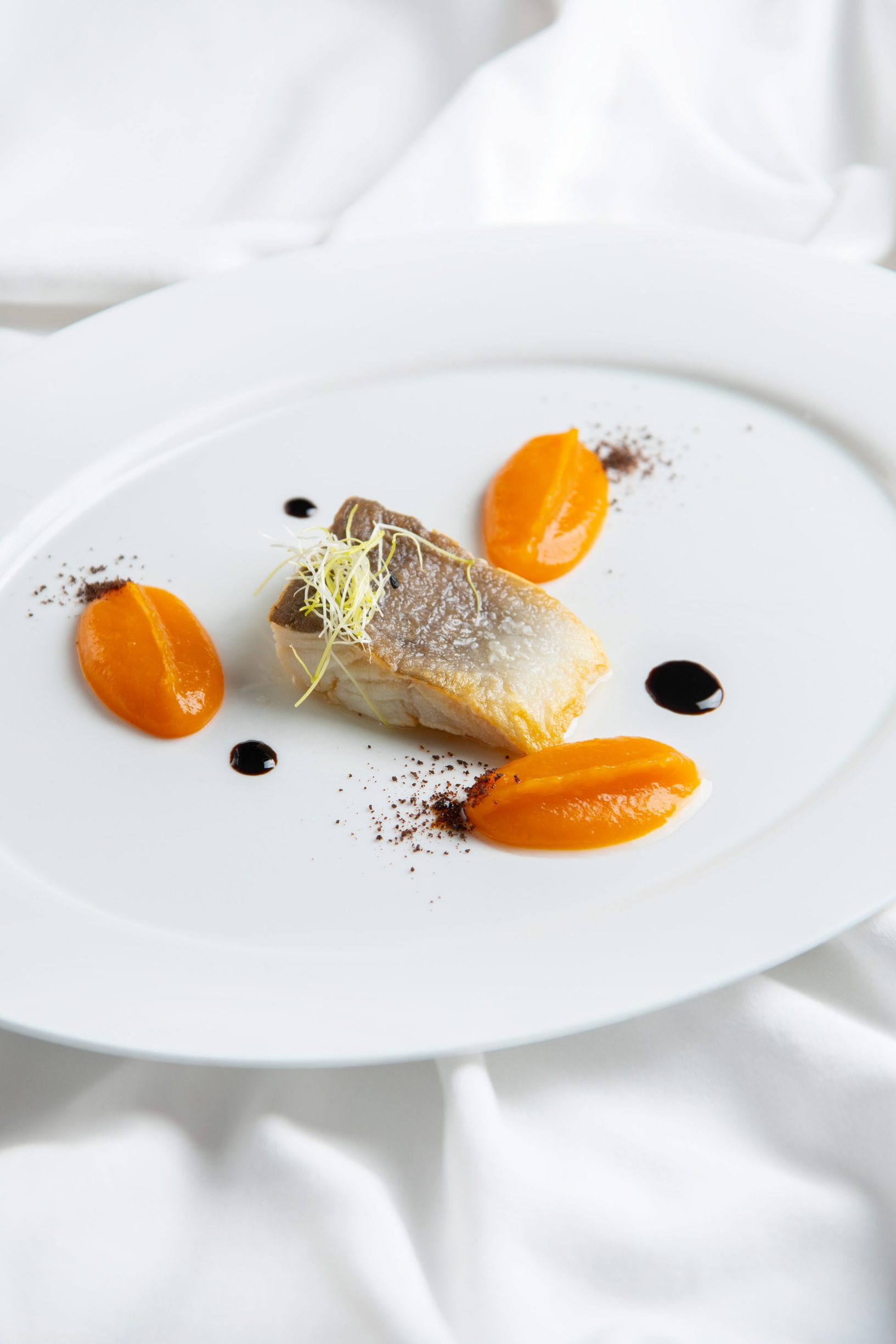 bakalar_rivica17-261119