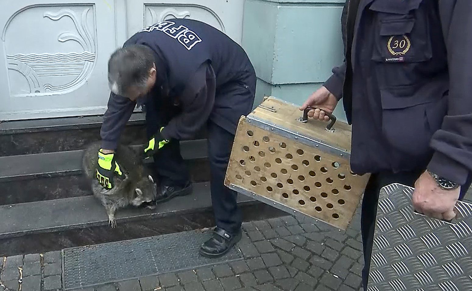 2019-12-09T144131Z_753168743_RC2QRD9VOEIX_RTRMADP_3_GERMANY-RACOON