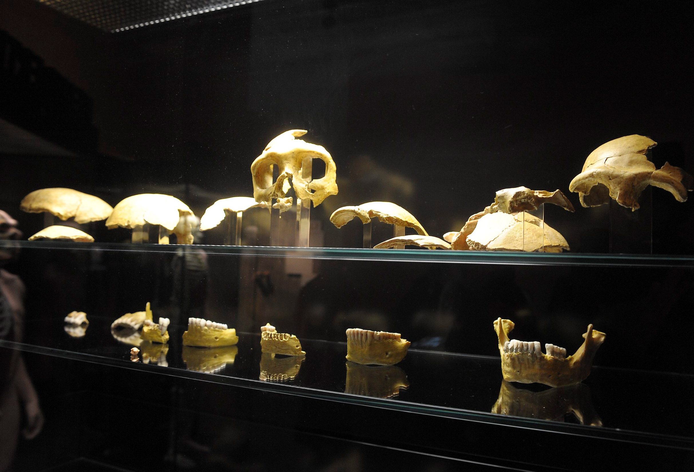 muzej_pracovjek35-080210