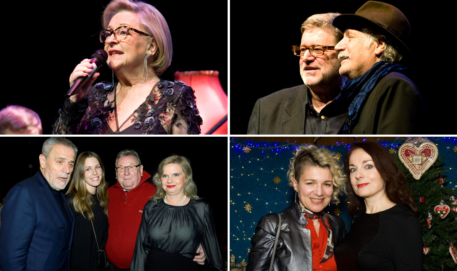 Novak Vitez Šerbedžija