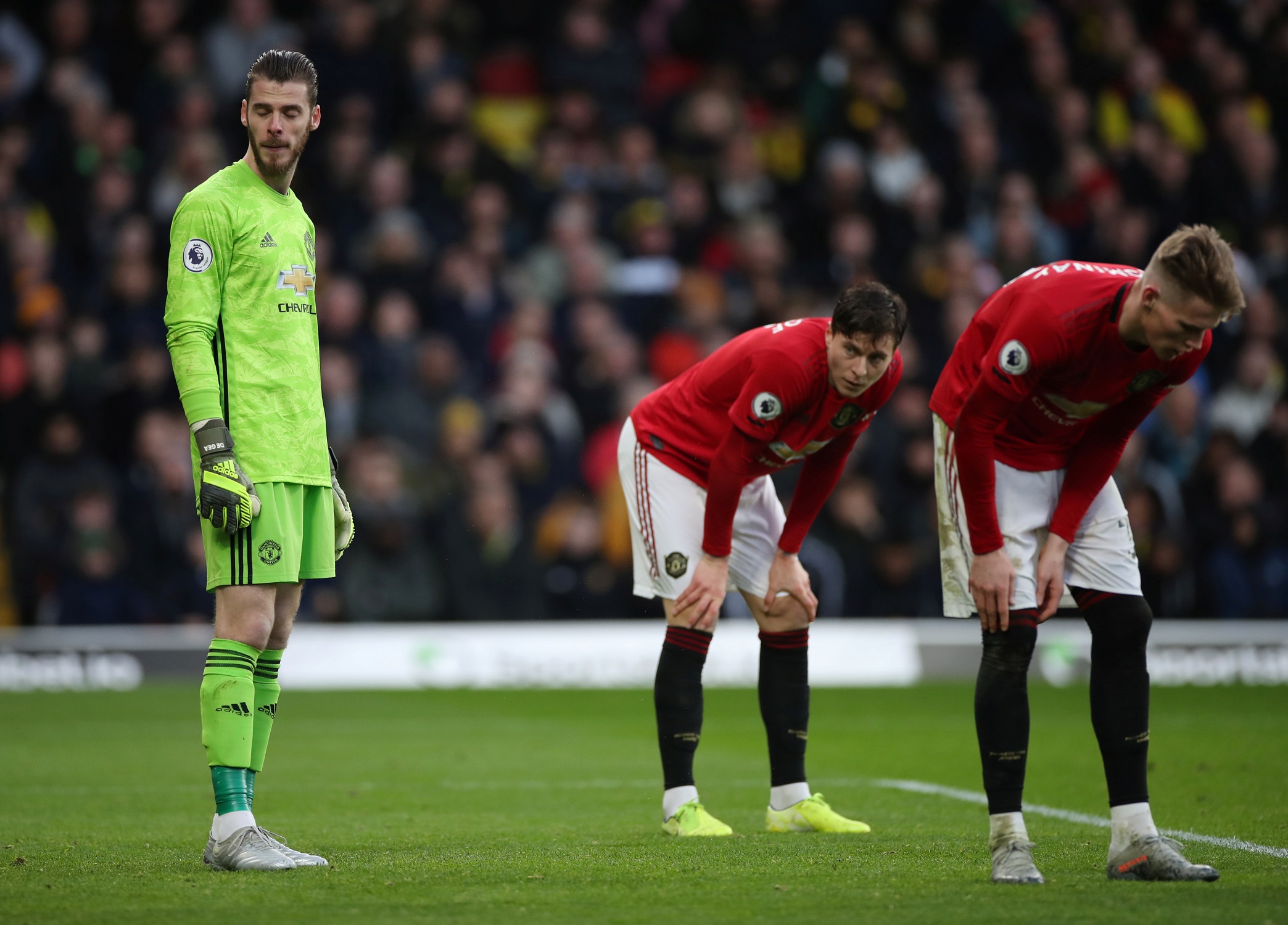 De Gea manchester united