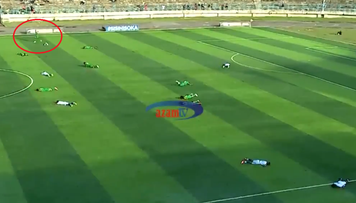 tanzanija pčele roj napad foto screenshot