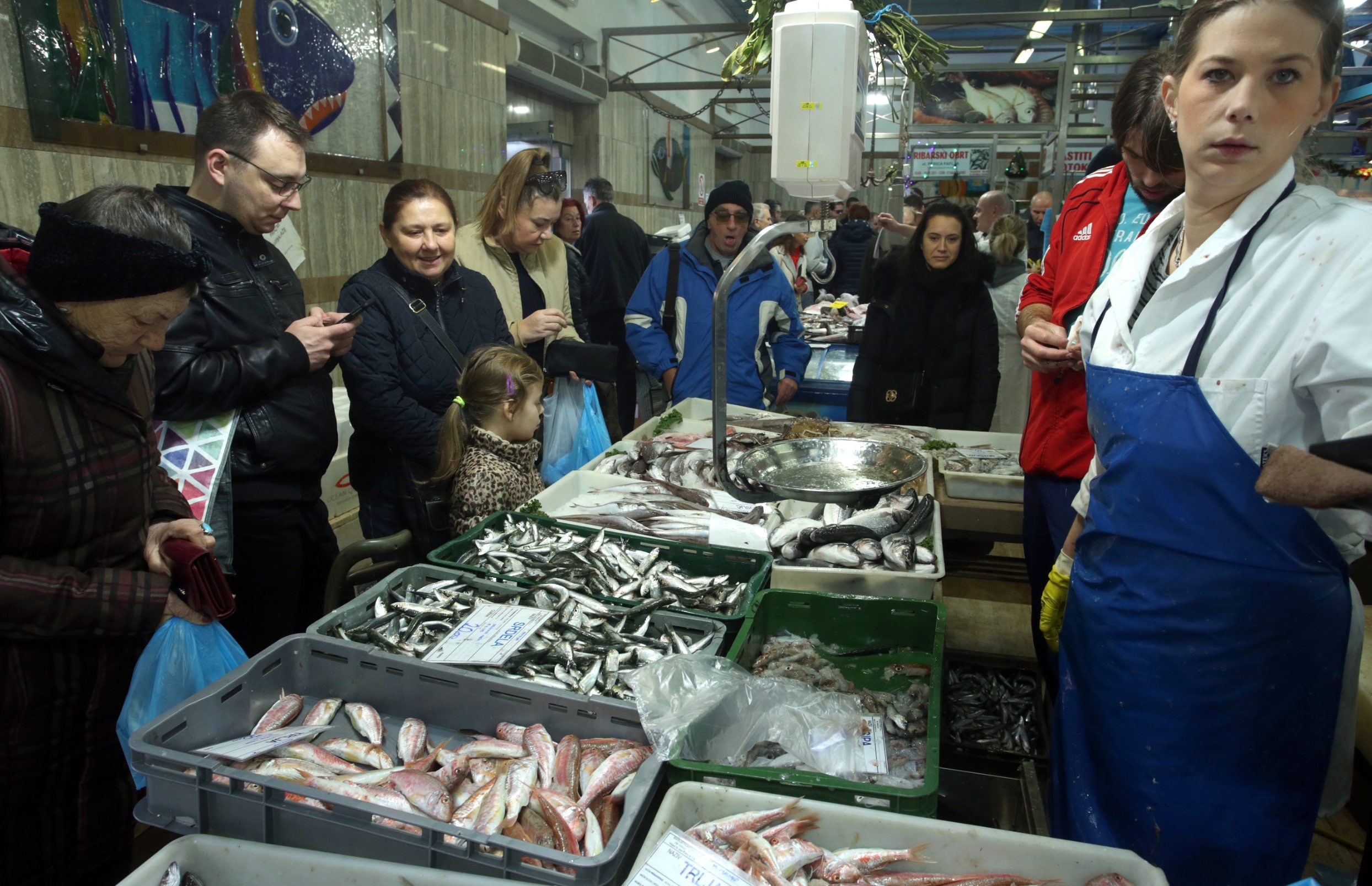 dolac_badnjak10-241219