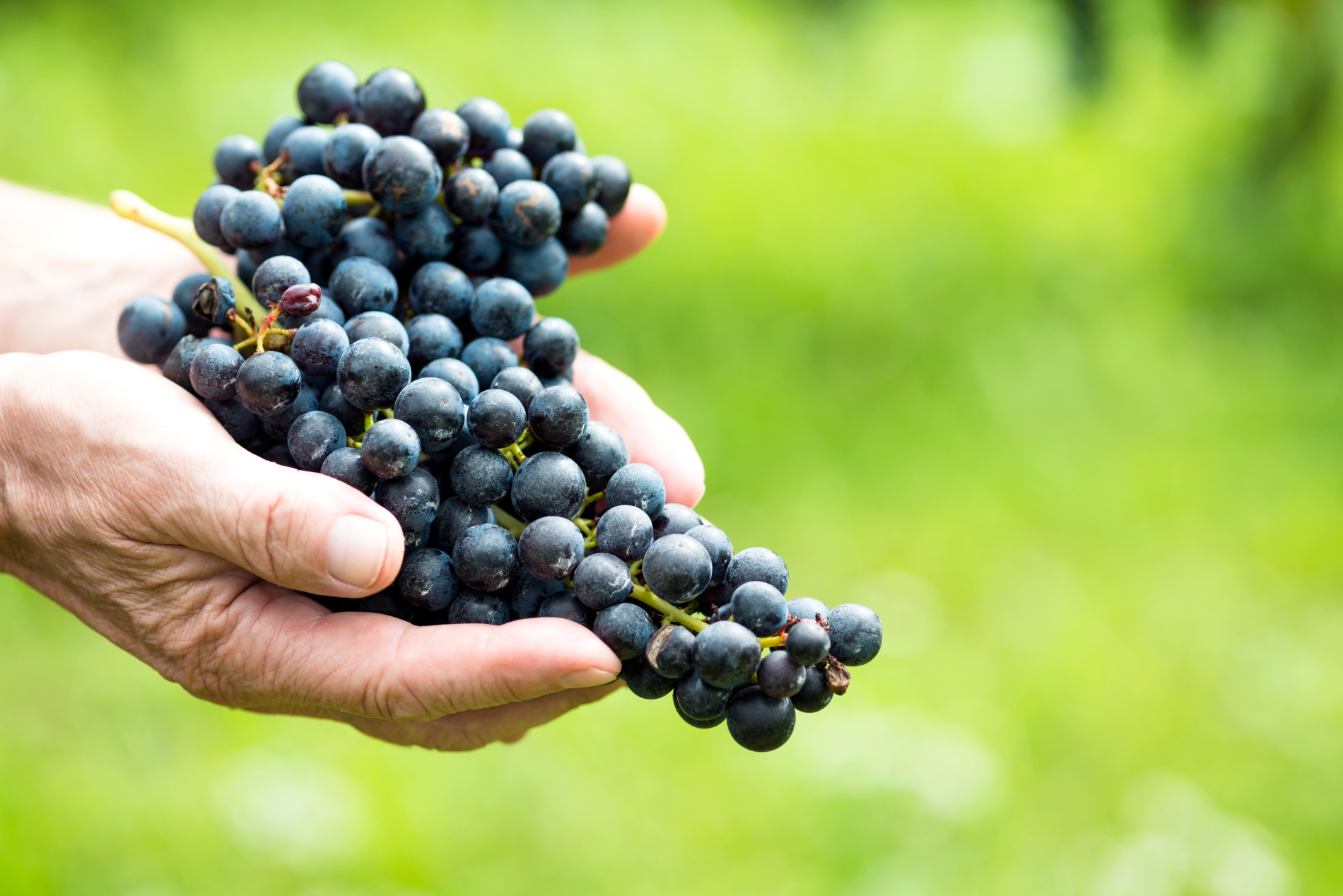 iStock-486032060 malo 1