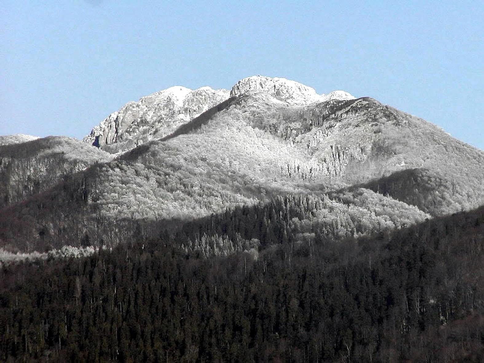 risnjak_snijeg2211-des