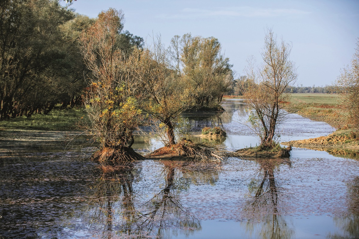 lonjsko-polje21-231019_1