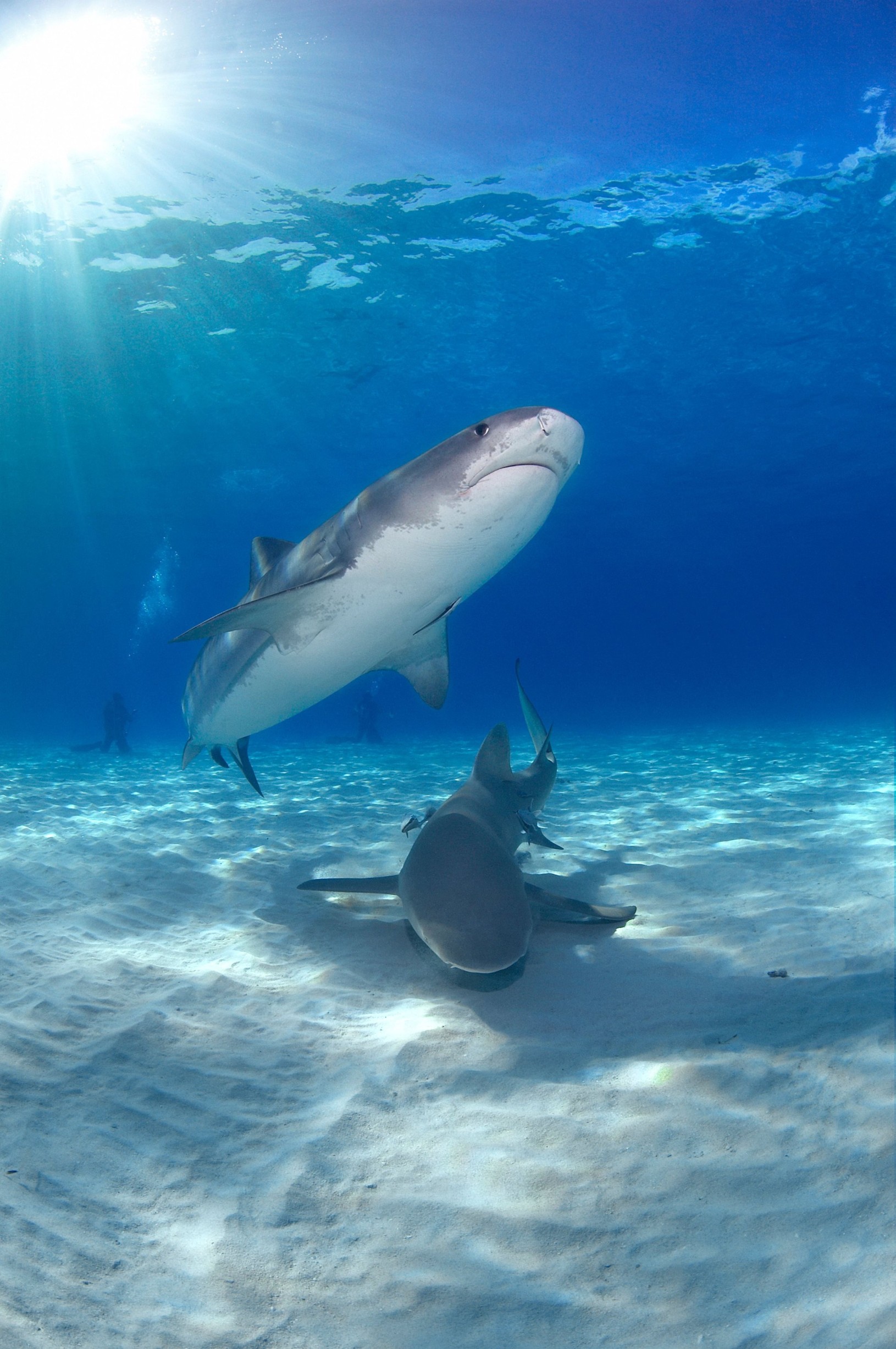 profimedia-0034942954