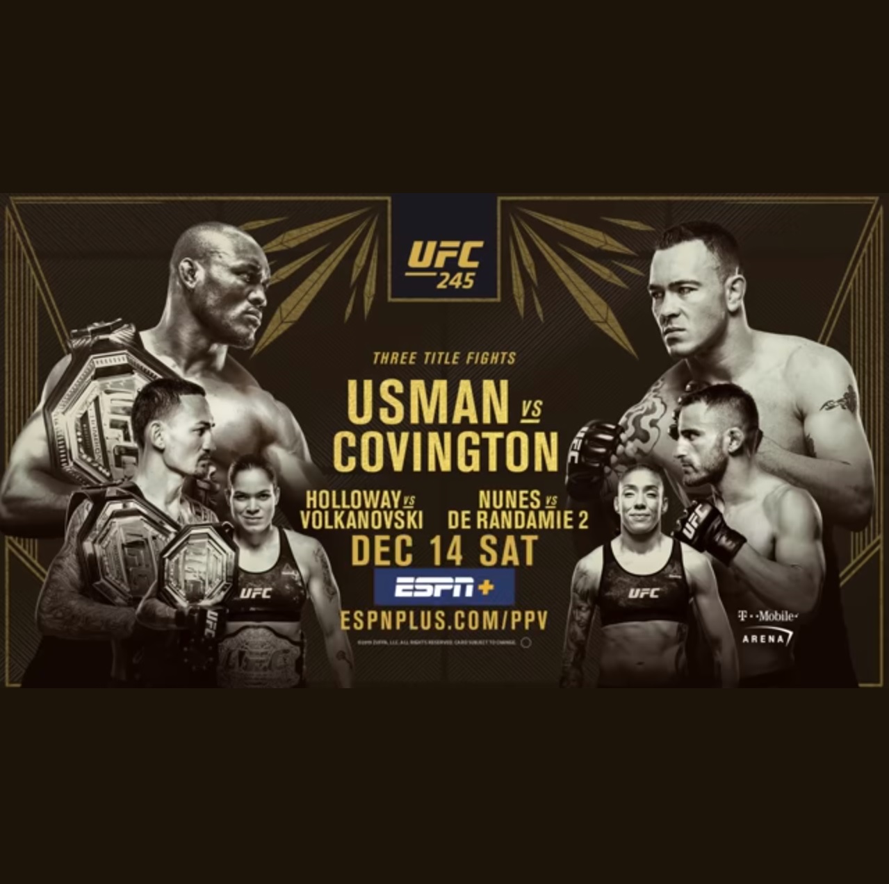 UFC 245