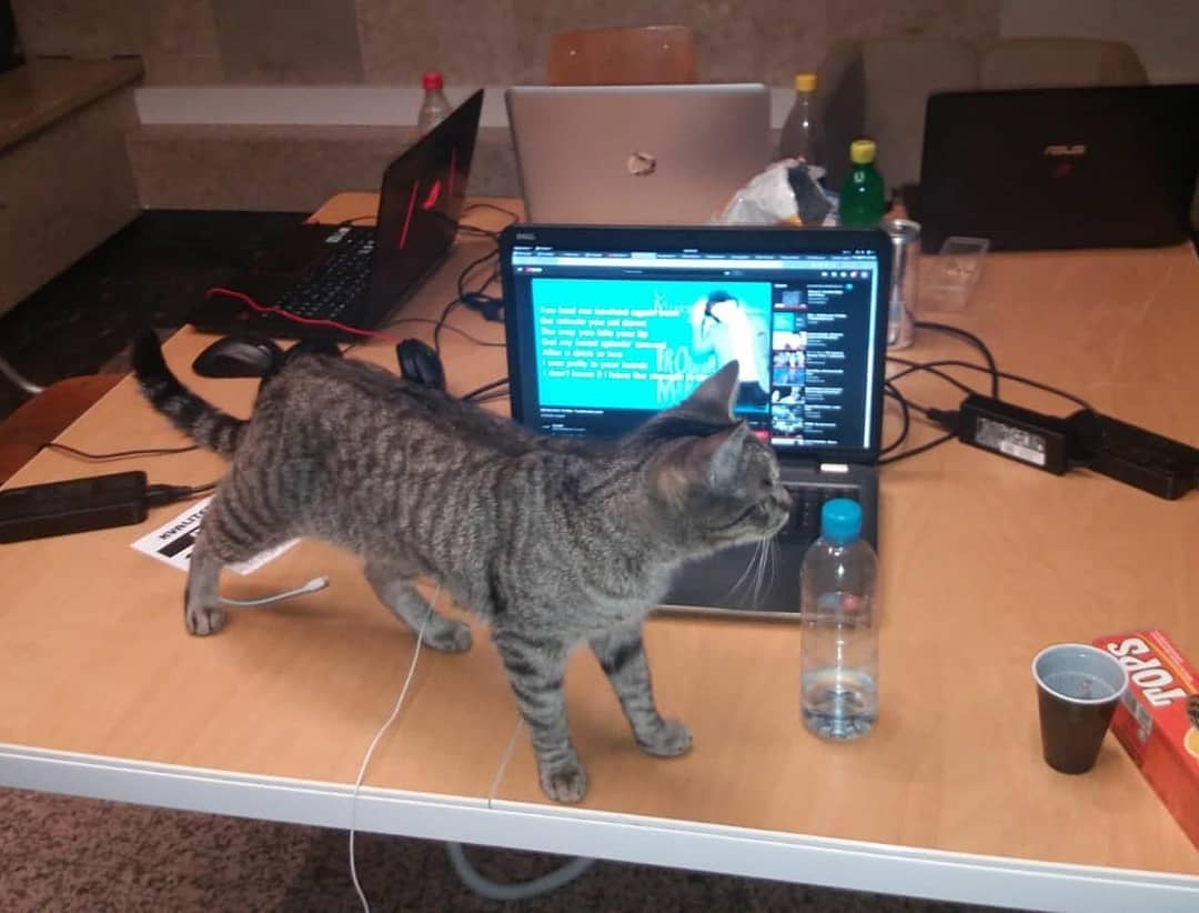 46990422_370195180463382_6729694604010697435_n(1)