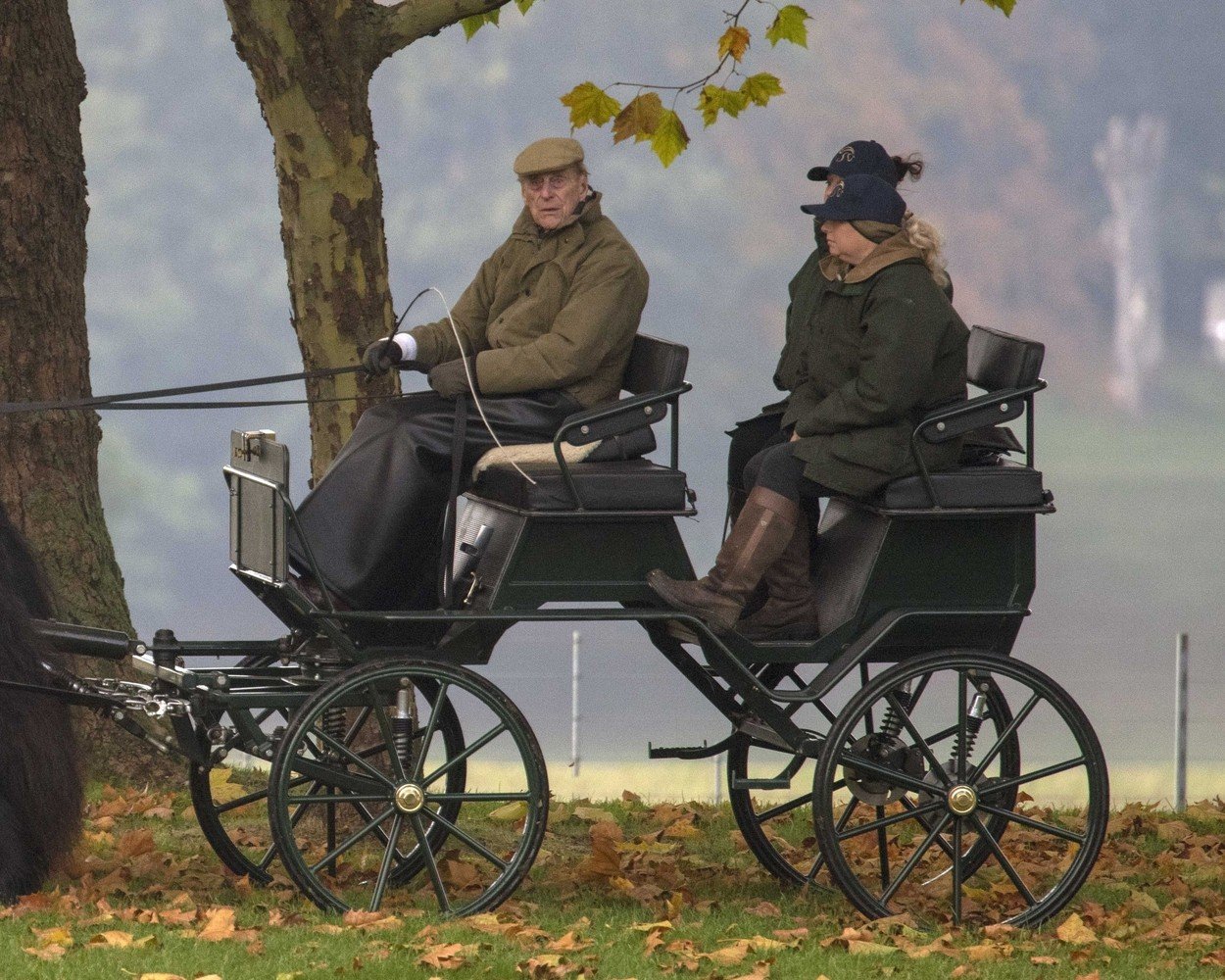 Princ Filip vozi kočiju