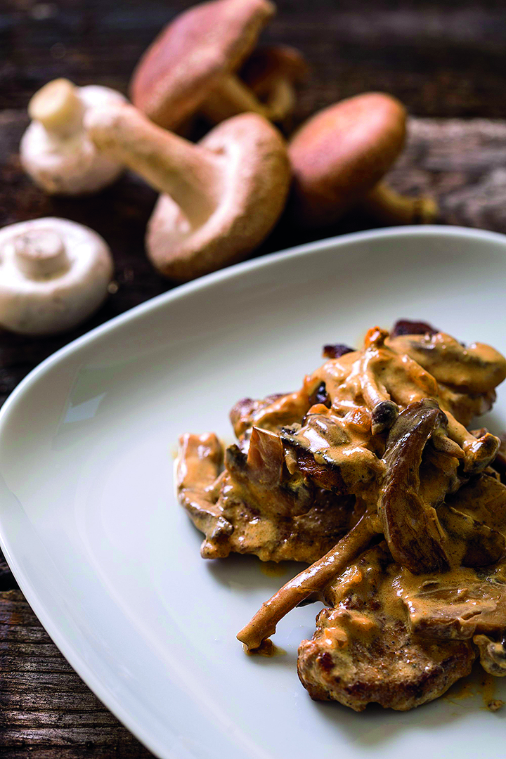 gljive-misic16-121218