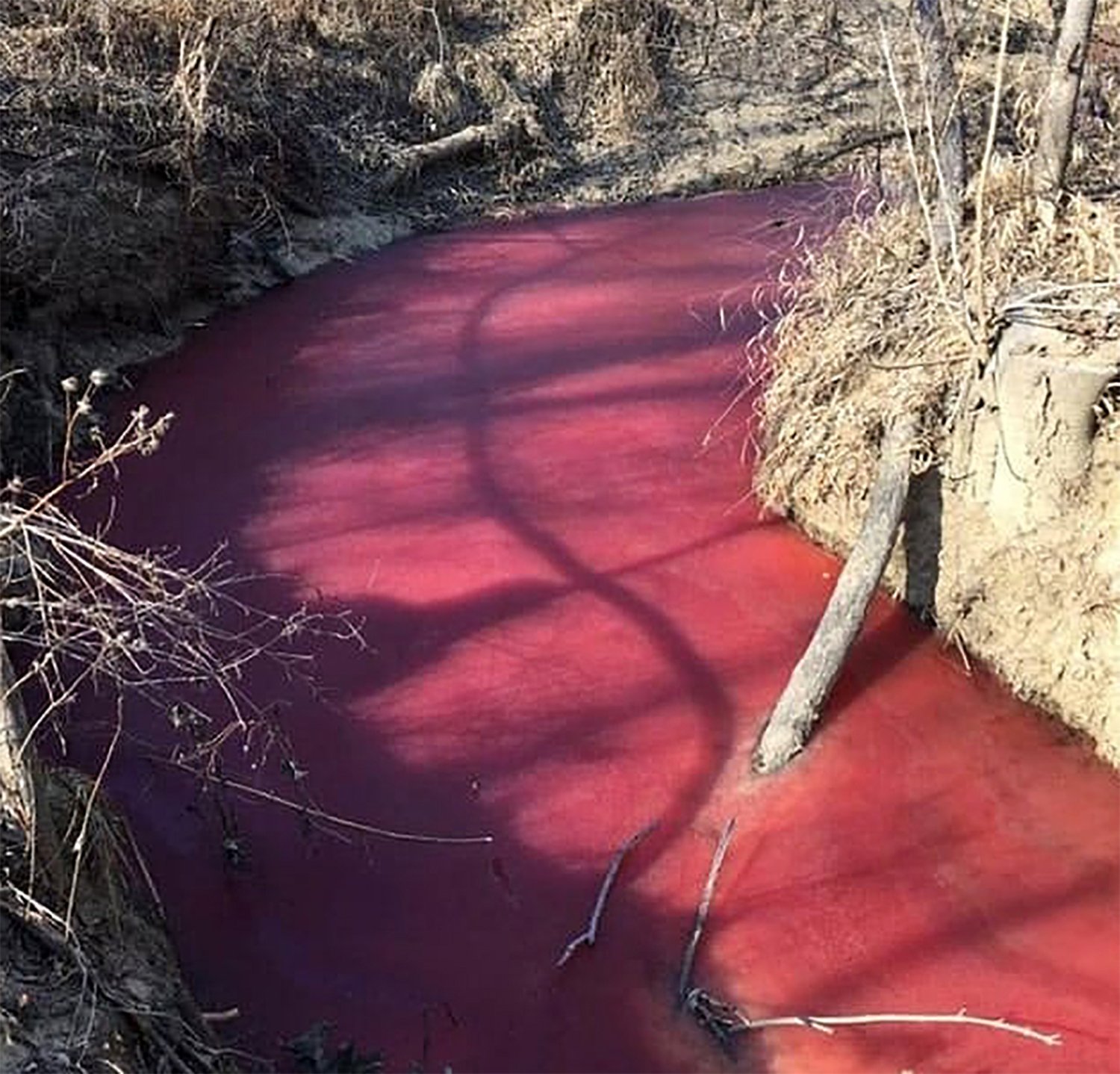 profimedia-0413170820