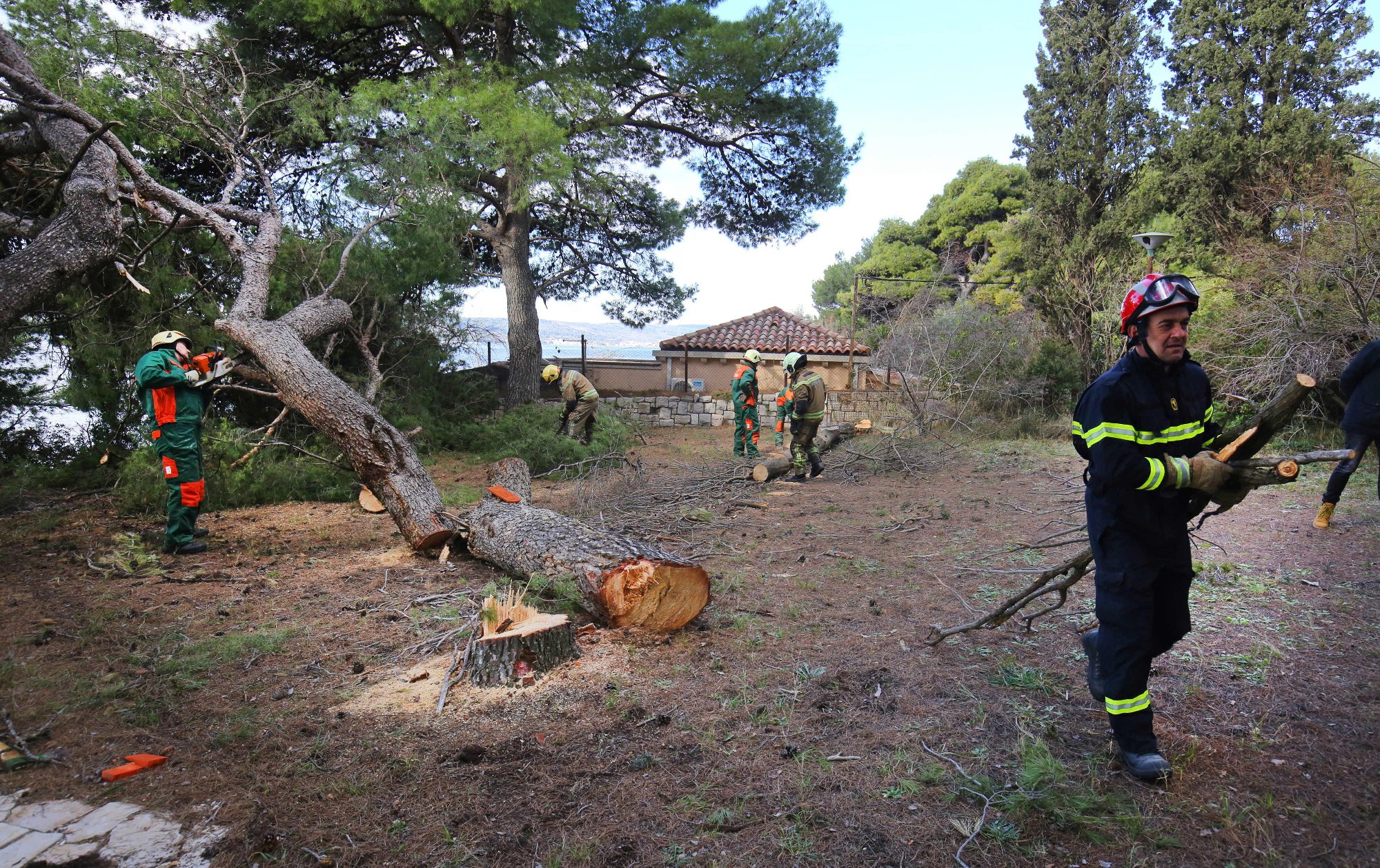 marjan_potkornjak8-130219