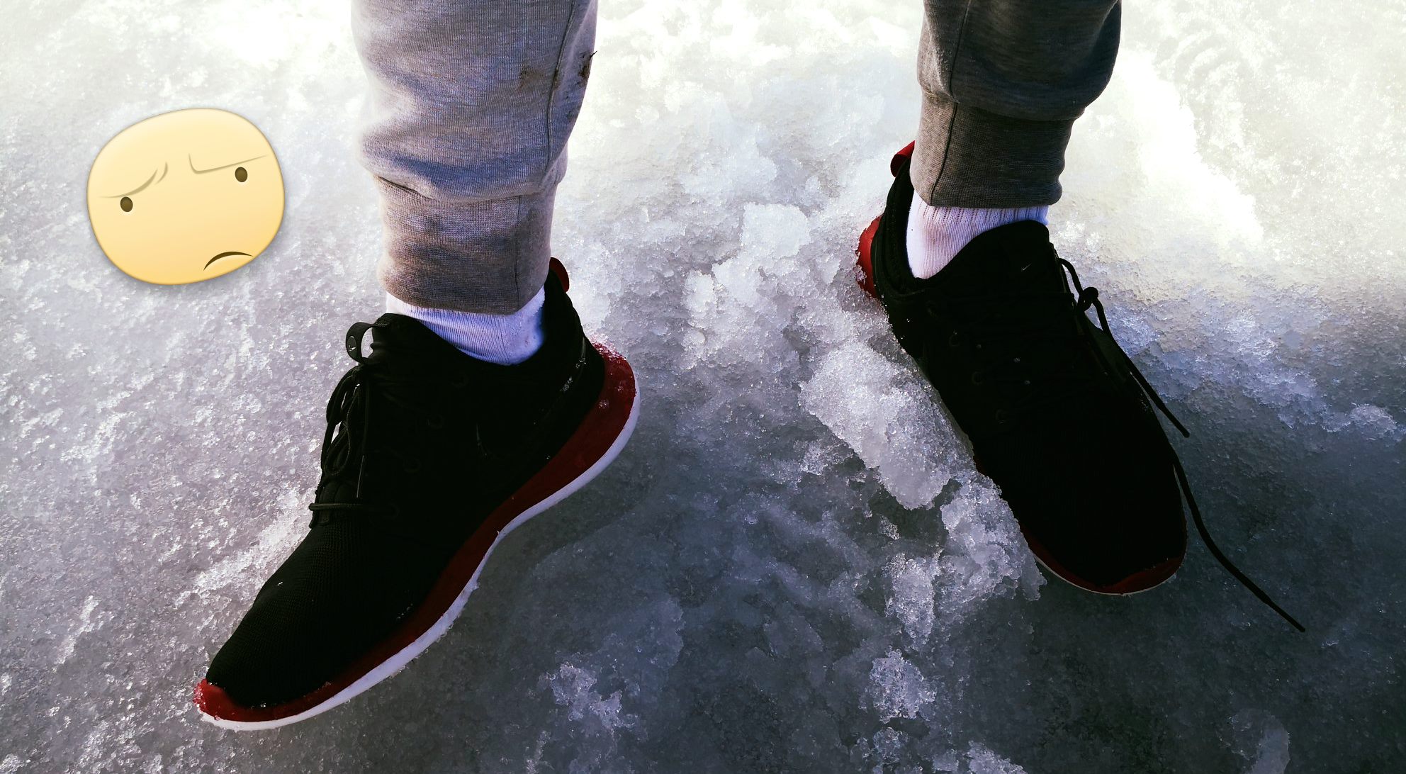 52774253_1599568113519909_8163224166598705152_o