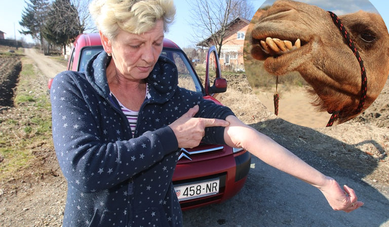 Katarina Horvatić i deva