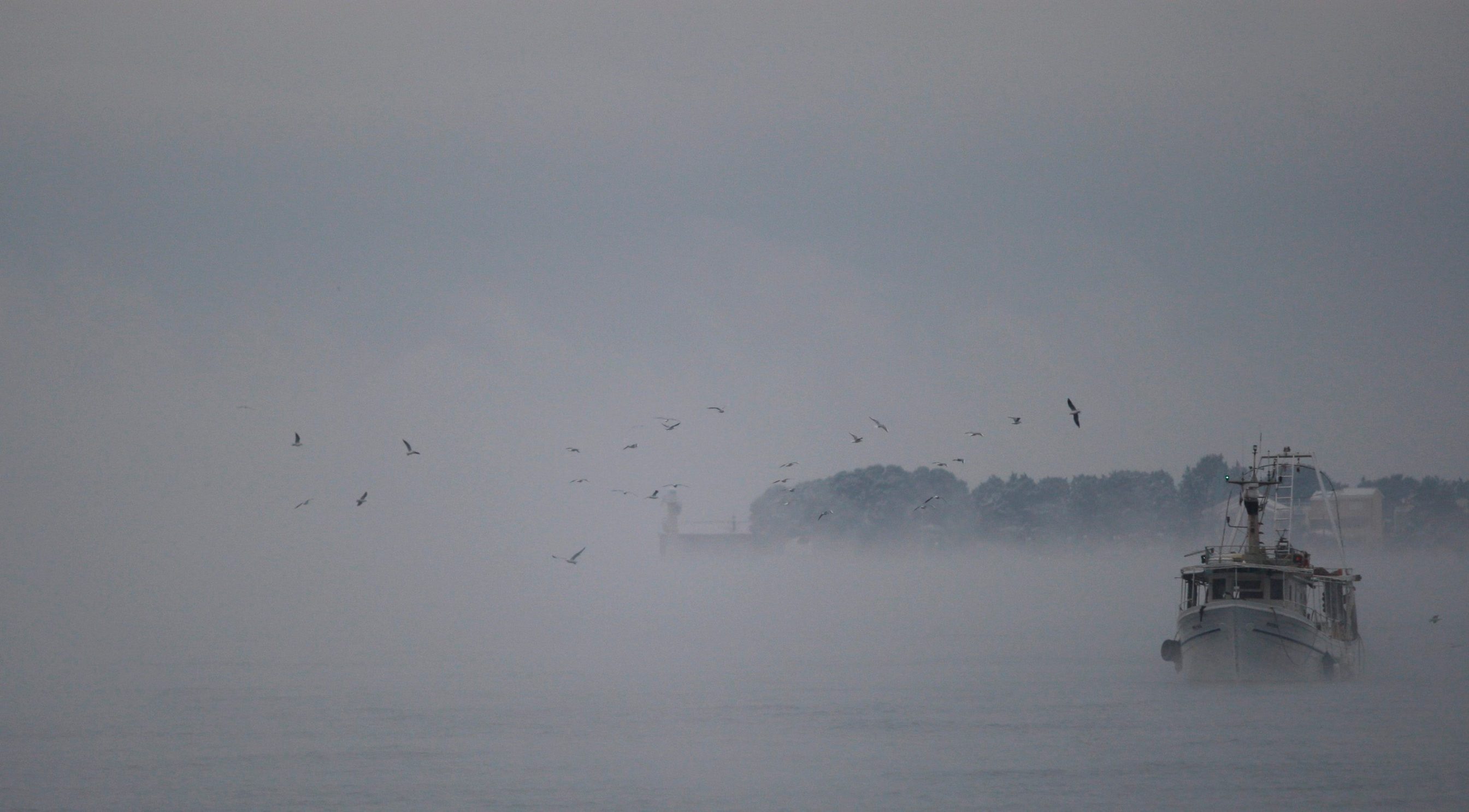 puntamika_magla-181209