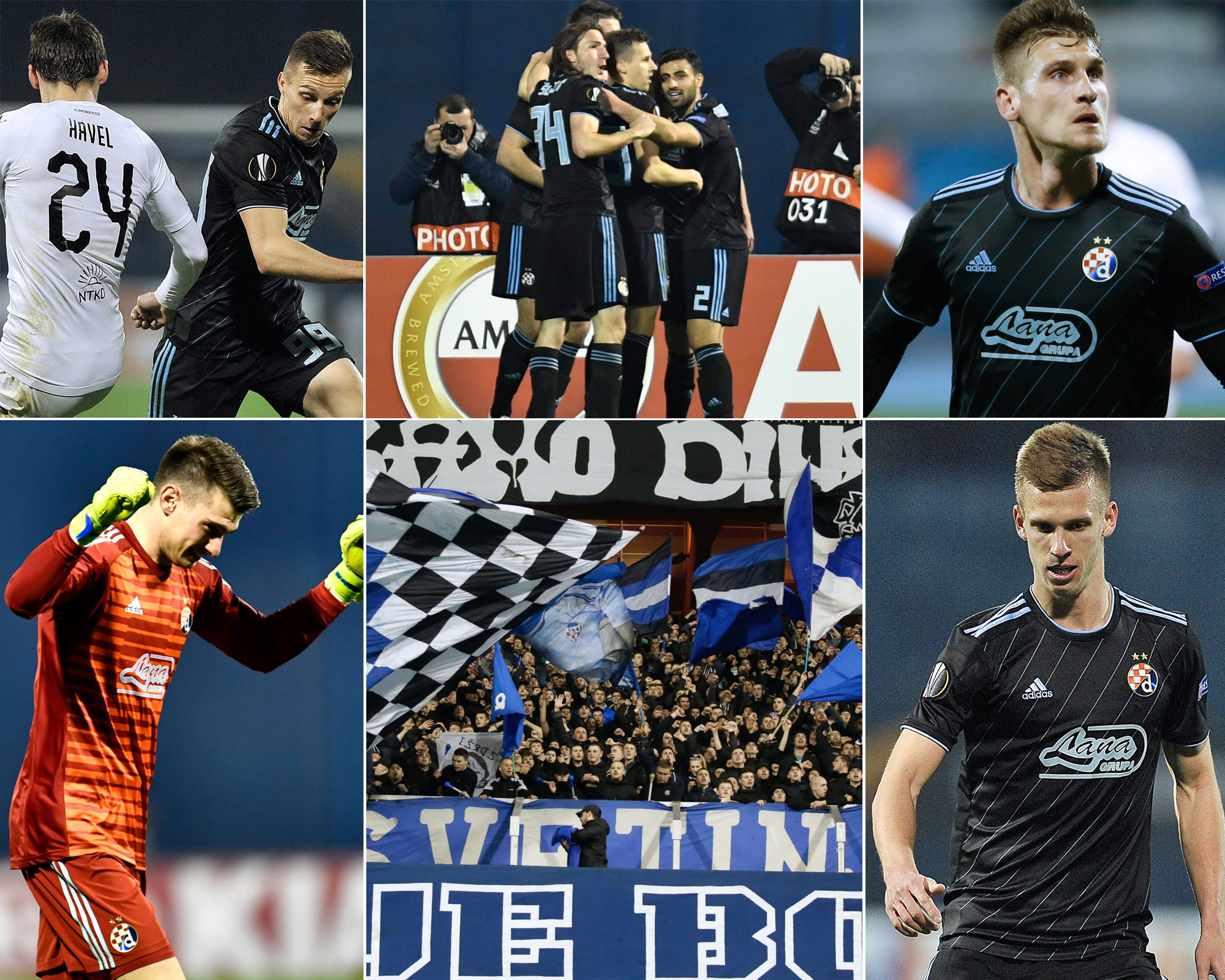 Dinamo