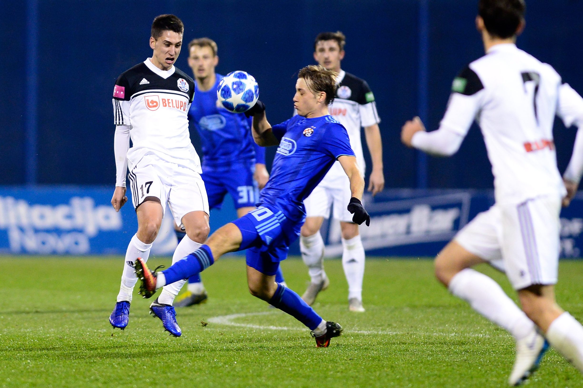 dinamo19-170219