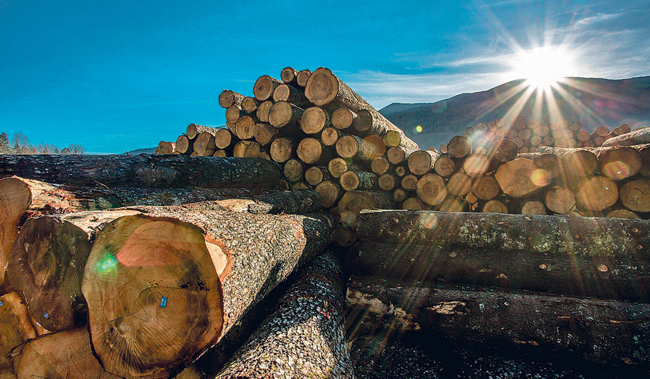 229562-295769-velebit10-231