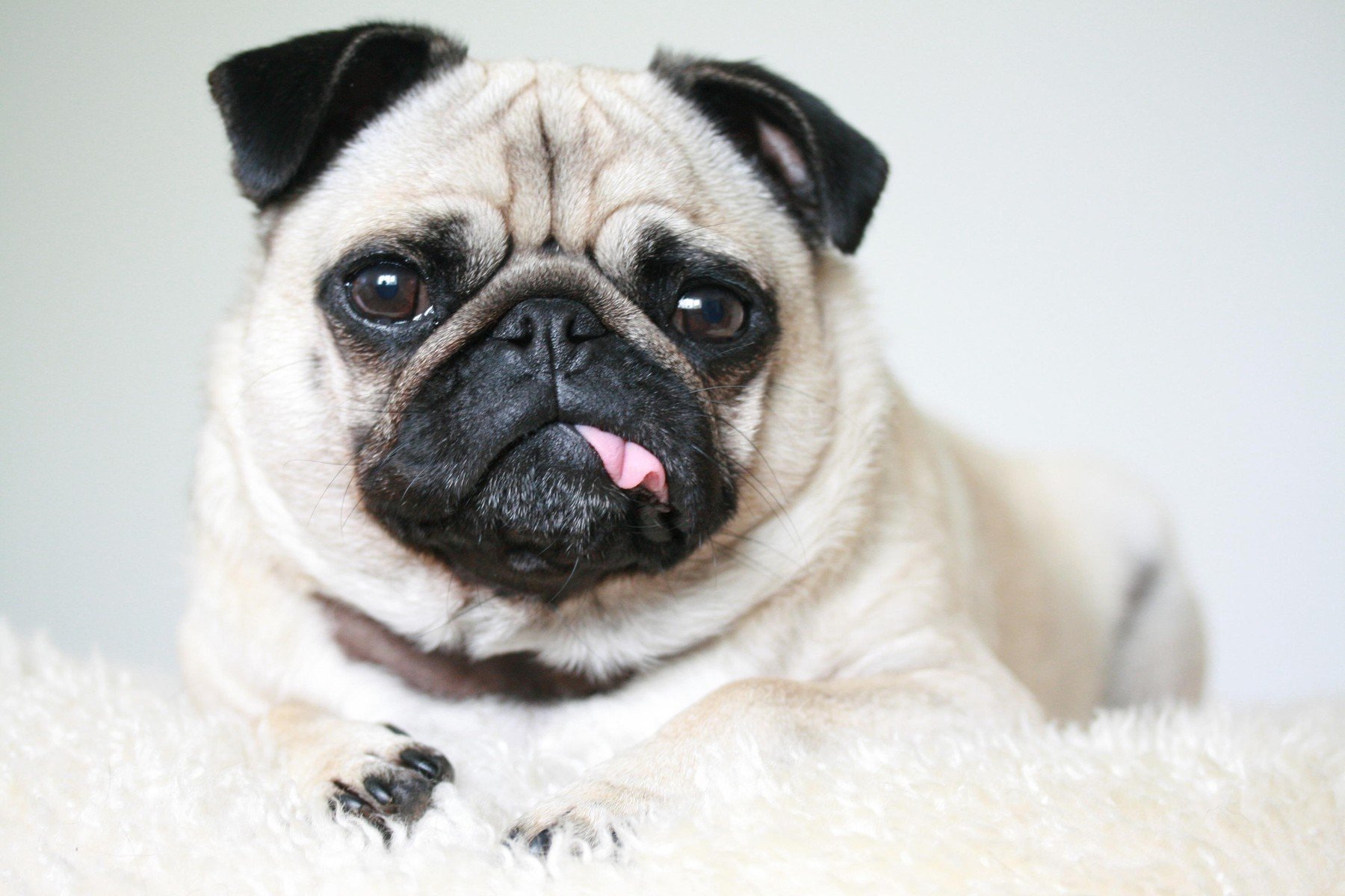 profimedia-0297135426