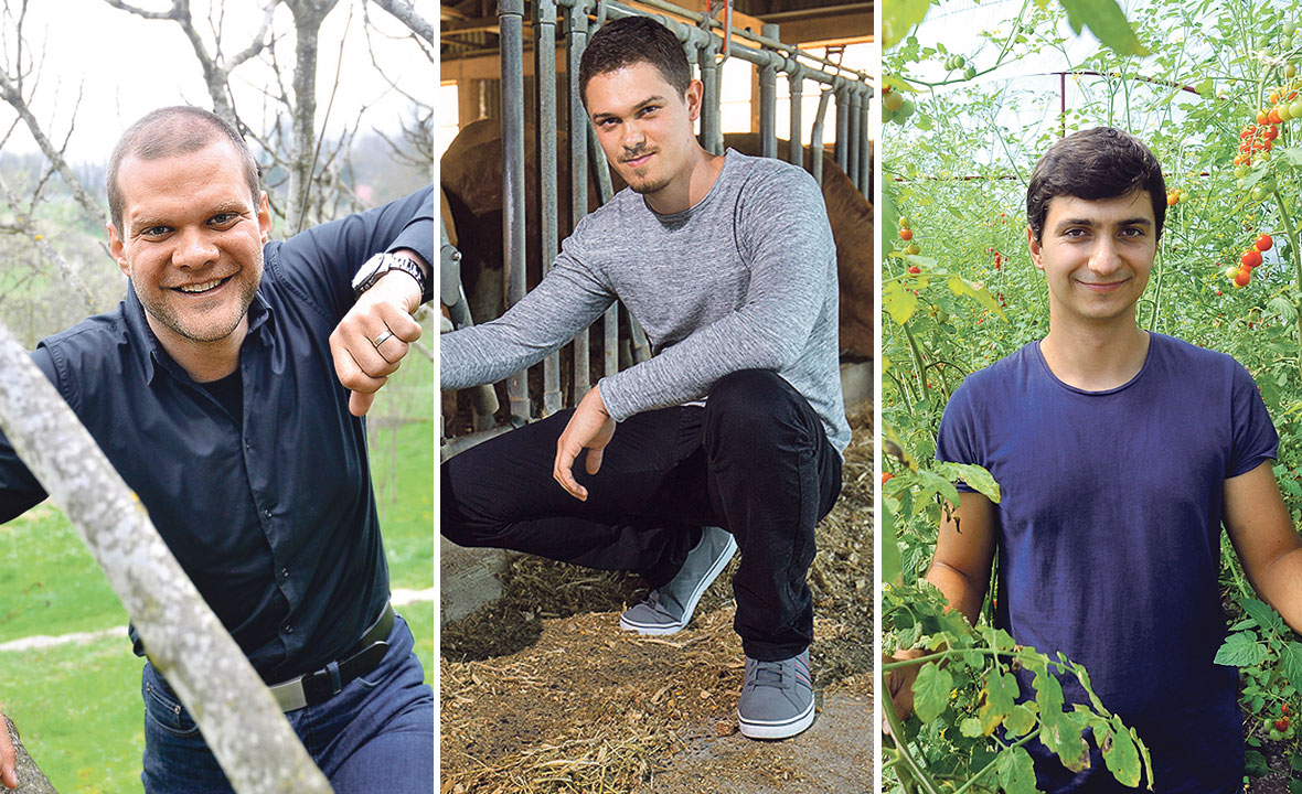 Matija Cetinić-Frankos, Ivan Gašić i Ivan Veselić