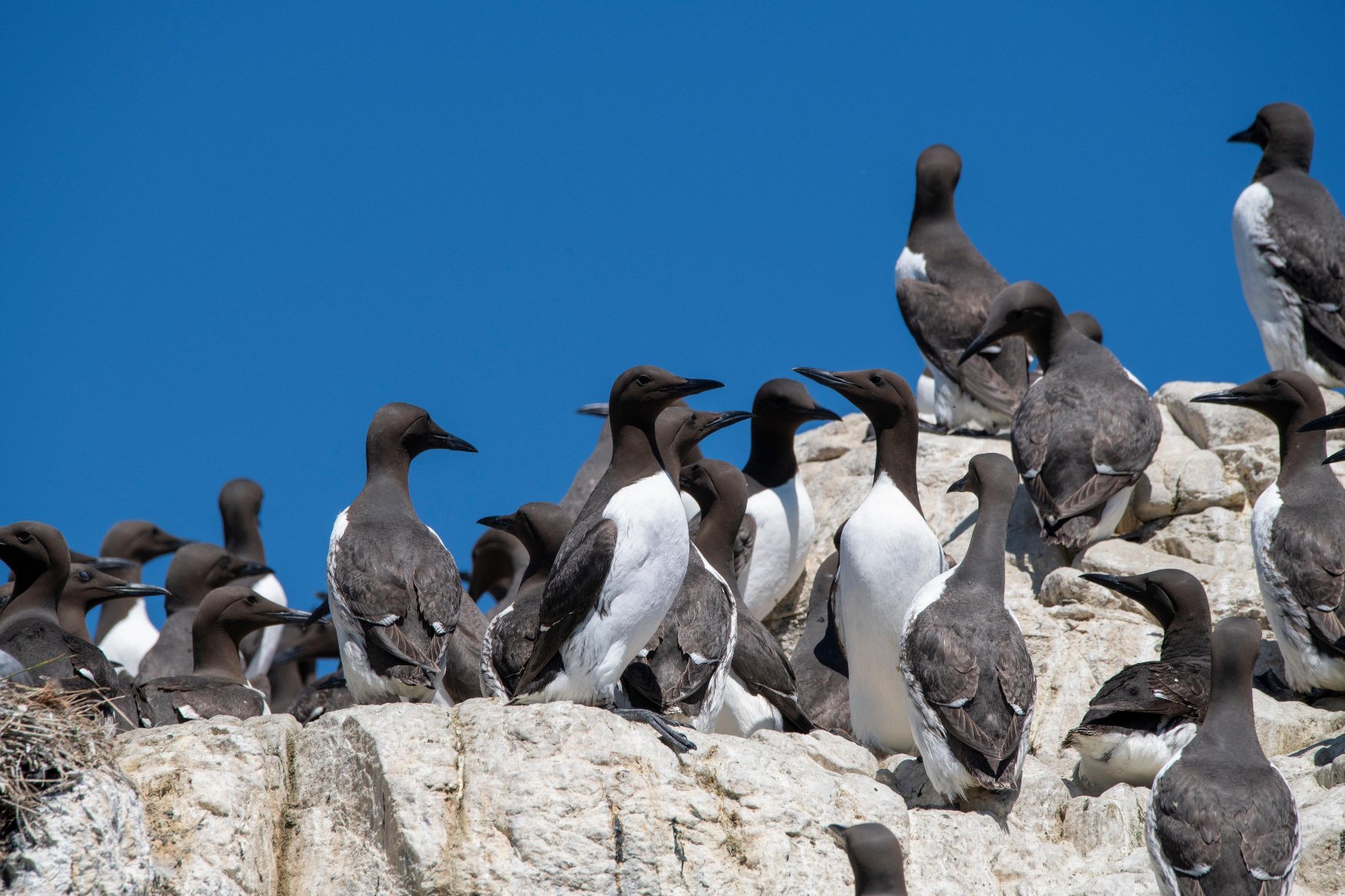 profimedia-0377220761