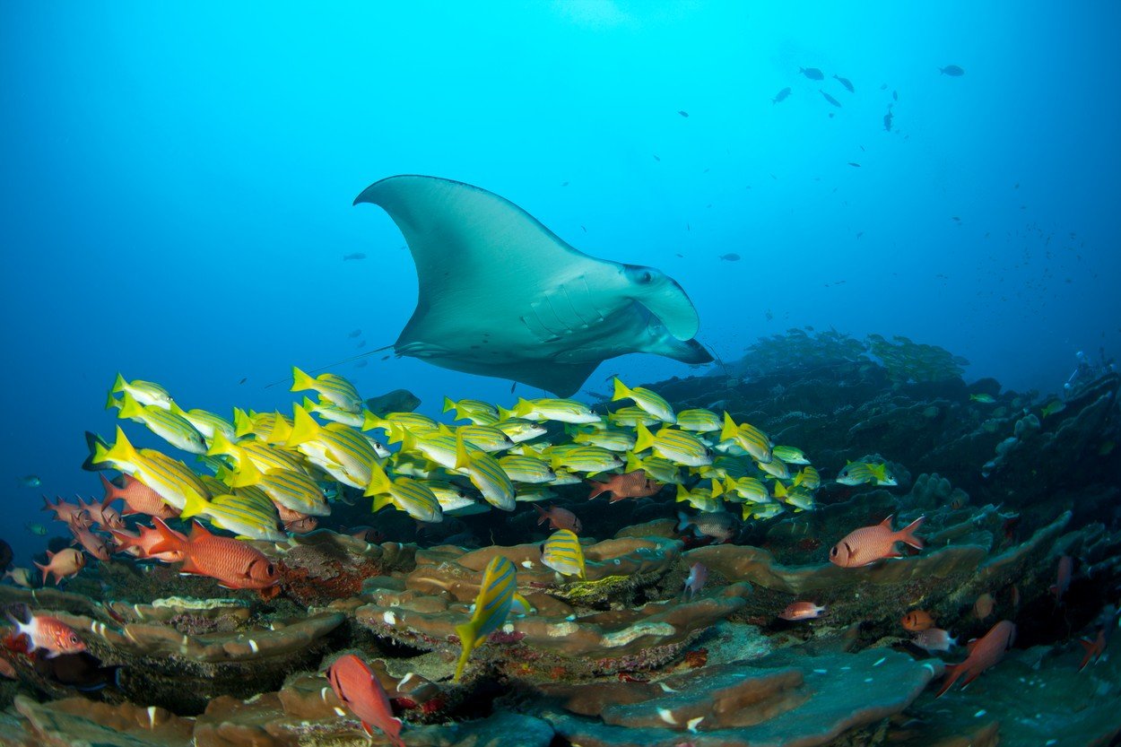 profimedia-0199682848