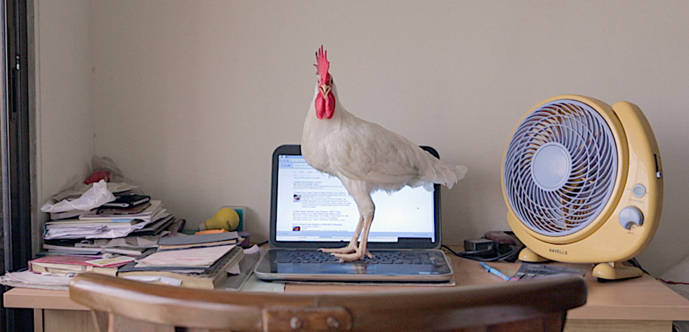 Prizor iz filma 'Tungrus'