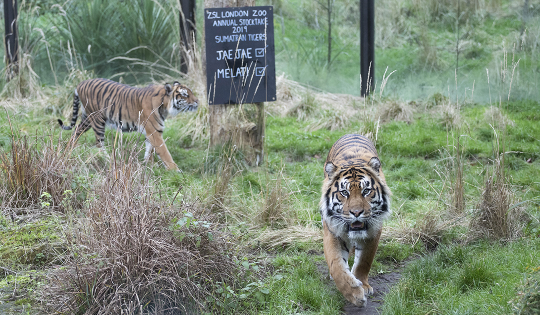 GettyImages-1089329782_1